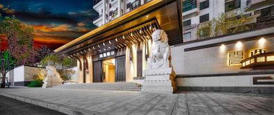 桐乡网红最新爆料,揭秘当地热门事件背后的真相